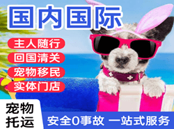 白莲航空邮寄国际宠物托运 【国